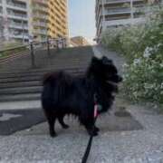 ヒメ日記 2025/04/06 10:23 投稿 藤谷香文 ローテンブルク