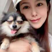 ヒメ日記 2025/04/09 11:20 投稿 藤谷香文 ローテンブルク