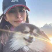 ヒメ日記 2025/04/09 19:52 投稿 藤谷香文 ローテンブルク