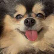 ヒメ日記 2025/04/30 20:42 投稿 藤谷香文 ローテンブルク