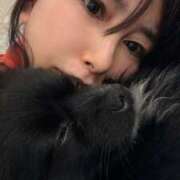 ヒメ日記 2025/05/02 06:08 投稿 藤谷香文 ローテンブルク