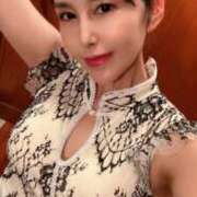 ヒメ日記 2025/05/11 11:58 投稿 藤谷香文 ローテンブルク