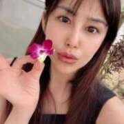 ヒメ日記 2025/05/15 18:20 投稿 藤谷香文 ローテンブルク