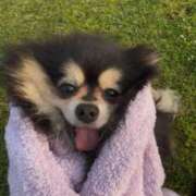 ヒメ日記 2025/05/17 00:02 投稿 藤谷香文 ローテンブルク