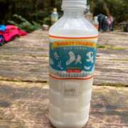 ヒメ日記 2025/05/19 20:46 投稿 藤谷香文 ローテンブルク