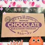 ヒメ日記 2025/05/19 23:37 投稿 藤谷香文 ローテンブルク