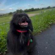 ヒメ日記 2025/05/28 21:57 投稿 藤谷香文 ローテンブルク