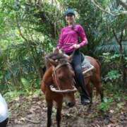 ヒメ日記 2025/05/28 22:47 投稿 藤谷香文 ローテンブルク