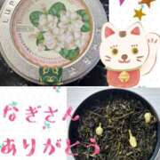 ヒメ日記 2025/06/08 21:44 投稿 藤谷香文 ローテンブルク