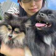 ヒメ日記 2025/06/11 04:41 投稿 藤谷香文 ローテンブルク