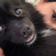 ヒメ日記 2025/06/12 08:33 投稿 藤谷香文 ローテンブルク