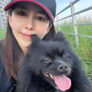 ヒメ日記 2025/06/12 22:53 投稿 藤谷香文 ローテンブルク