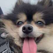 ヒメ日記 2025/06/14 21:31 投稿 藤谷香文 ローテンブルク