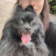 ヒメ日記 2025/06/16 23:35 投稿 藤谷香文 ローテンブルク