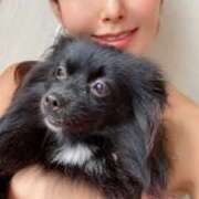 ヒメ日記 2025/06/17 20:07 投稿 藤谷香文 ローテンブルク