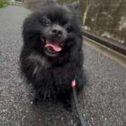 ヒメ日記 2025/06/26 21:59 投稿 藤谷香文 ローテンブルク