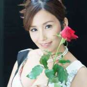 ヒメ日記 2025/07/22 09:24 投稿 藤谷香文 ローテンブルク