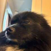 ヒメ日記 2025/07/23 06:07 投稿 藤谷香文 ローテンブルク