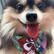 ヒメ日記 2025/08/01 21:15 投稿 藤谷香文 ローテンブルク