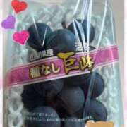 ヒメ日記 2025/08/11 20:17 投稿 藤谷香文 ローテンブルク