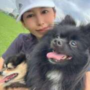 ヒメ日記 2025/08/16 05:11 投稿 藤谷香文 ローテンブルク