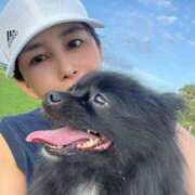 ヒメ日記 2025/08/19 05:14 投稿 藤谷香文 ローテンブルク