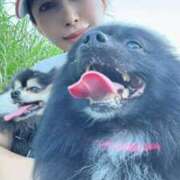 ヒメ日記 2025/08/30 04:47 投稿 藤谷香文 ローテンブルク