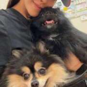 ヒメ日記 2025/09/01 21:50 投稿 藤谷香文 ローテンブルク