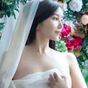 ヒメ日記 2025/09/23 06:06 投稿 藤谷香文 ローテンブルク