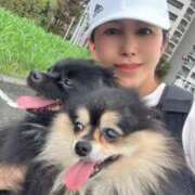 ヒメ日記 2025/09/27 05:26 投稿 藤谷香文 ローテンブルク