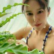 ヒメ日記 2025/09/30 18:33 投稿 藤谷香文 ローテンブルク