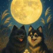 ヒメ日記 2025/10/17 22:31 投稿 藤谷香文 ローテンブルク