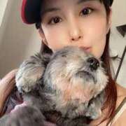 ヒメ日記 2025/10/29 08:27 投稿 藤谷香文 ローテンブルク