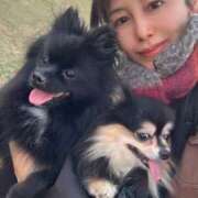 ヒメ日記 2025/11/08 05:04 投稿 藤谷香文 ローテンブルク