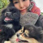 ヒメ日記 2025/11/11 20:50 投稿 藤谷香文 ローテンブルク