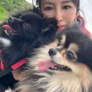 ヒメ日記 2025/11/12 06:35 投稿 藤谷香文 ローテンブルク