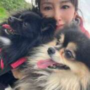 ヒメ日記 2025/11/17 06:58 投稿 藤谷香文 ローテンブルク