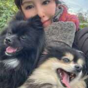 ヒメ日記 2025/11/18 06:01 投稿 藤谷香文 ローテンブルク