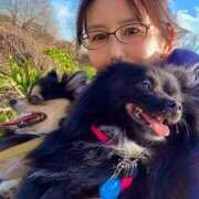 ヒメ日記 2025/11/21 08:28 投稿 藤谷香文 ローテンブルク