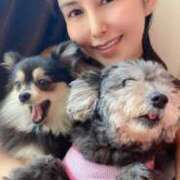 ヒメ日記 2025/11/24 08:33 投稿 藤谷香文 ローテンブルク