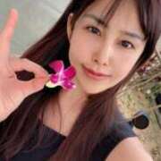 ヒメ日記 2025/12/06 17:09 投稿 藤谷香文 ローテンブルク