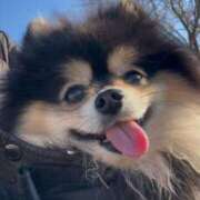 ヒメ日記 2026/01/10 20:26 投稿 藤谷香文 ローテンブルク