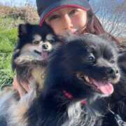 ヒメ日記 2026/02/10 05:40 投稿 藤谷香文 ローテンブルク