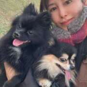 ヒメ日記 2026/02/18 05:38 投稿 藤谷香文 ローテンブルク