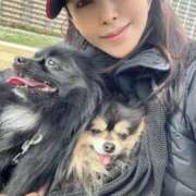 藤谷香文 🍀朝のワン散歩🍀 ローテンブルク