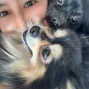 ヒメ日記 2026/03/17 19:04 投稿 藤谷香文 ローテンブルク