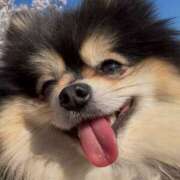 ヒメ日記 2026/04/02 21:44 投稿 藤谷香文 ローテンブルク