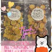 ヒメ日記 2026/04/04 13:13 投稿 藤谷香文 ローテンブルク