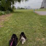 ヒメ日記 2026/04/15 13:19 投稿 藤谷香文 ローテンブルク