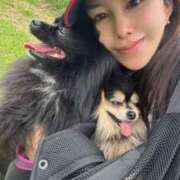 ヒメ日記 2026/04/15 19:48 投稿 藤谷香文 ローテンブルク